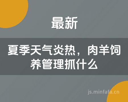 ����