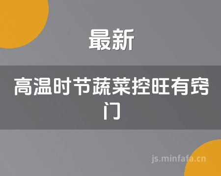 ����