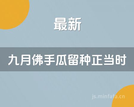 ����