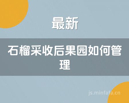 ����