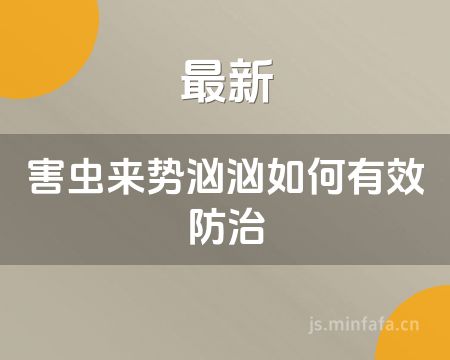 ����