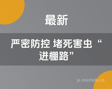 ����