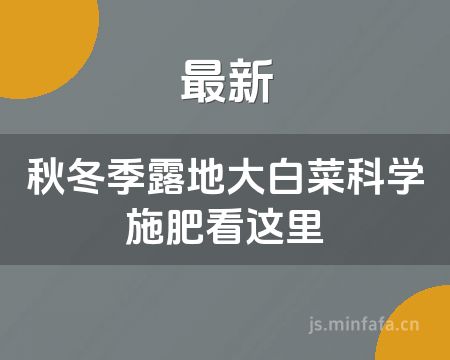 ����